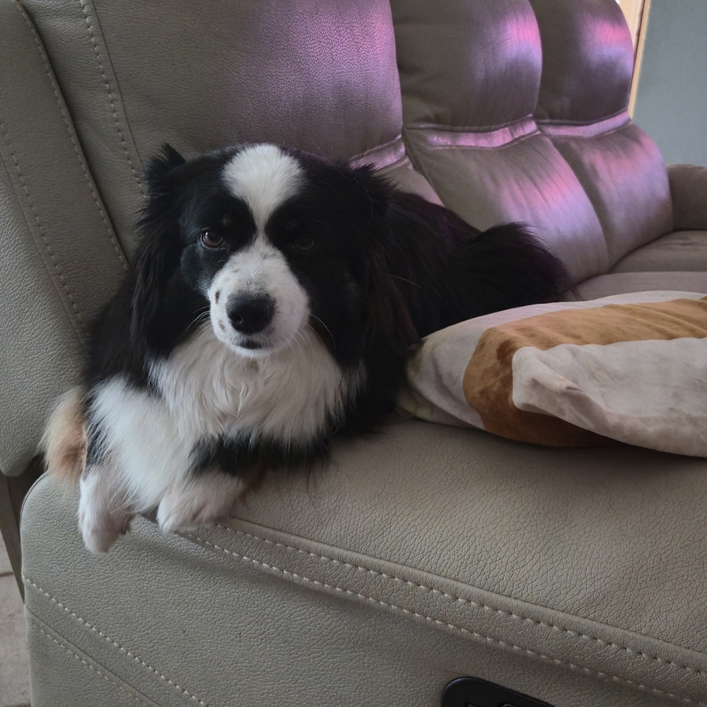 🤗LIVE POP UP🔥 - Picture 6 of 9